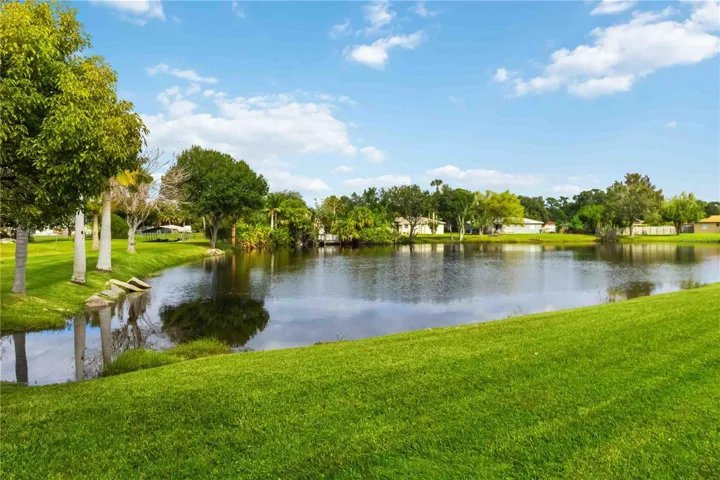 Back Yard View