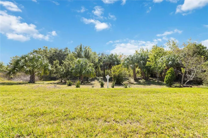 Backyard Nature Preserve