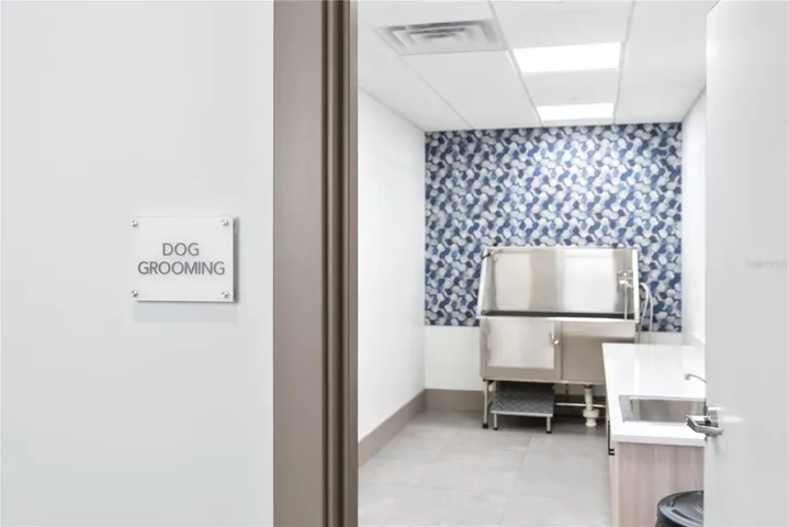 Dog grooming station