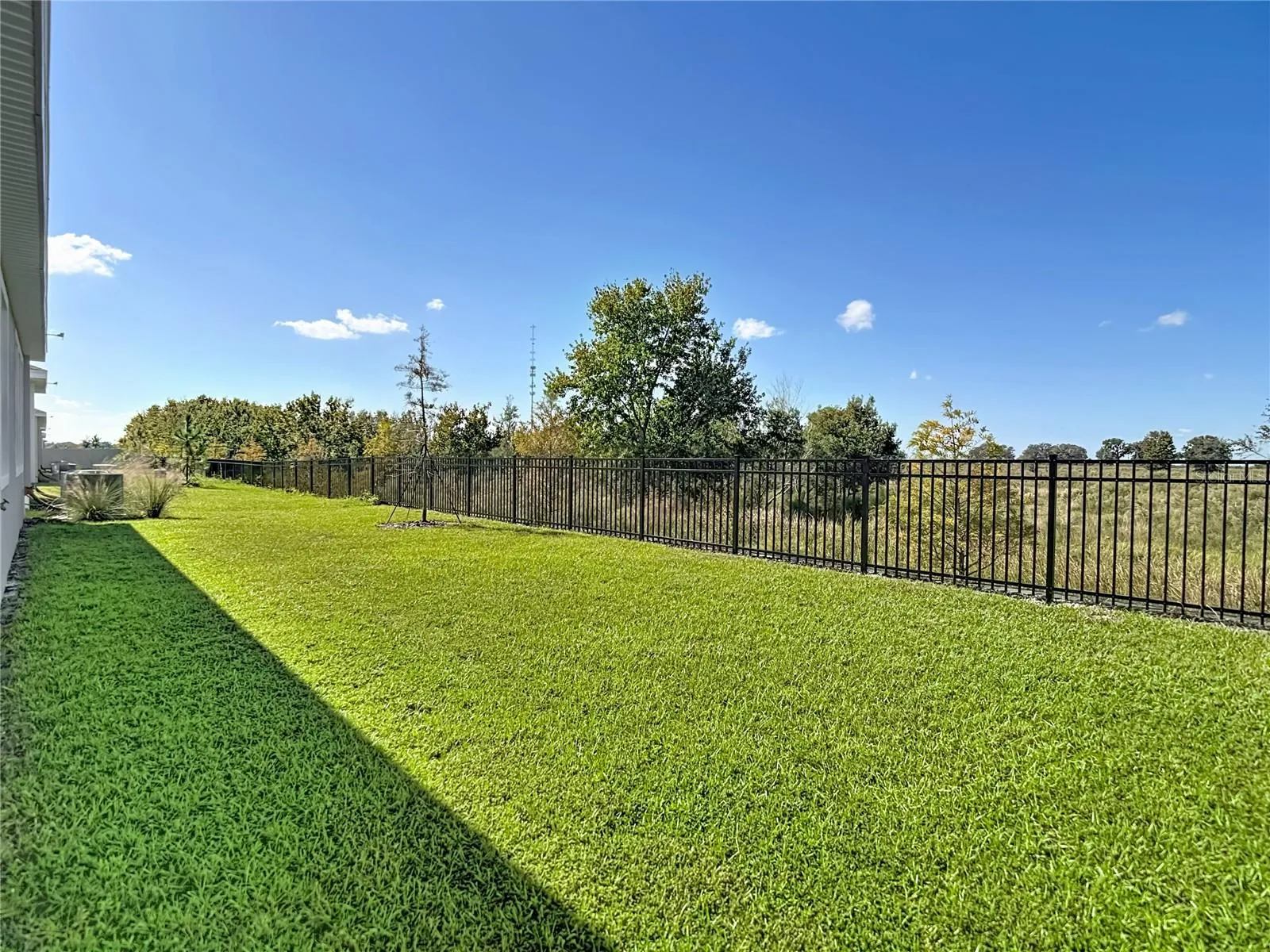 Roth Iron Fence along Back of The Property!