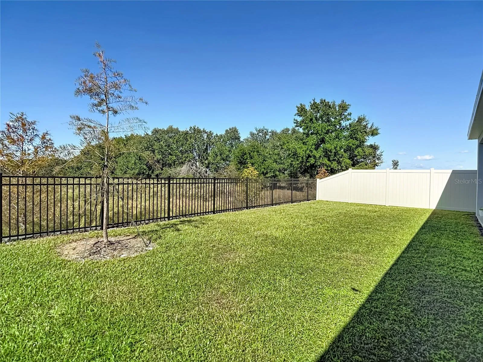 Large Backyard!