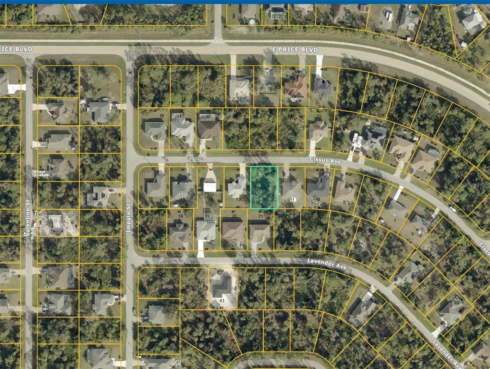 AERIAL MAP WITH OUTLINE