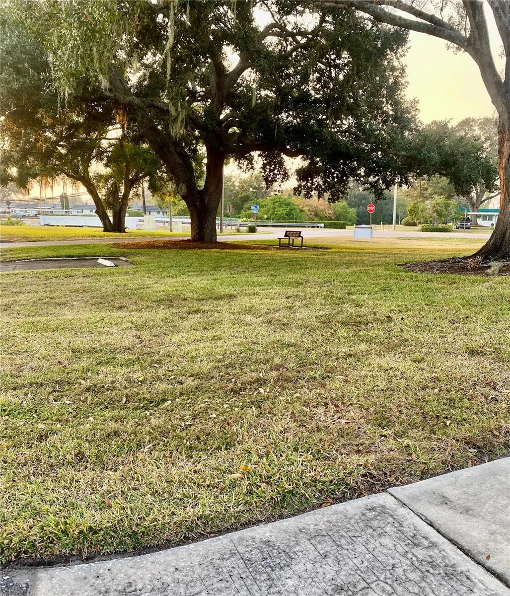 SIDE YARD VIEW