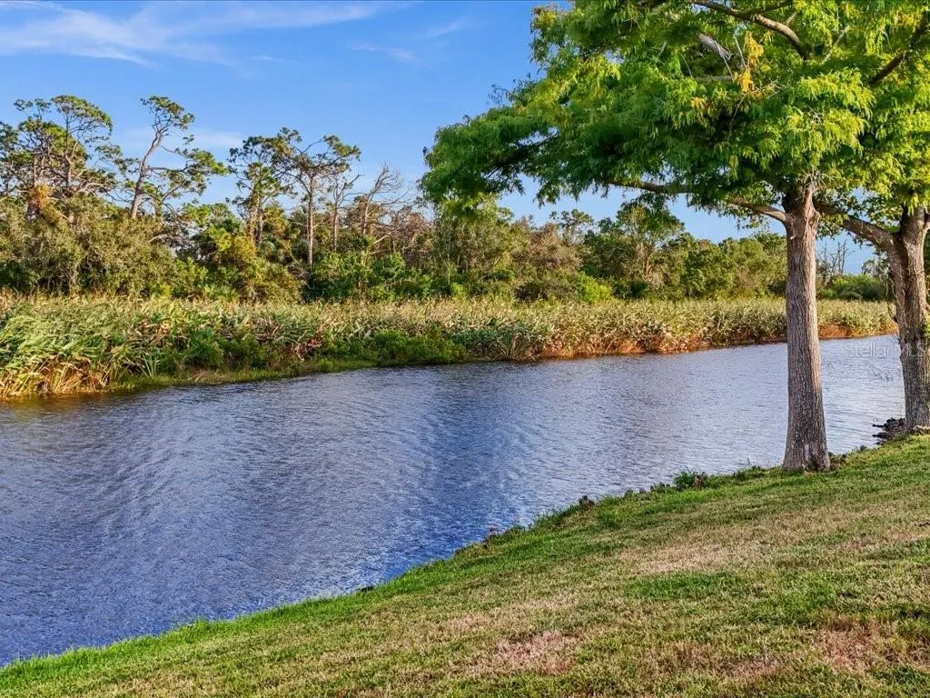 Water provides a calming effect.