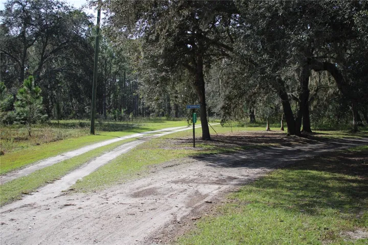 Fork in driveway, Stay Left