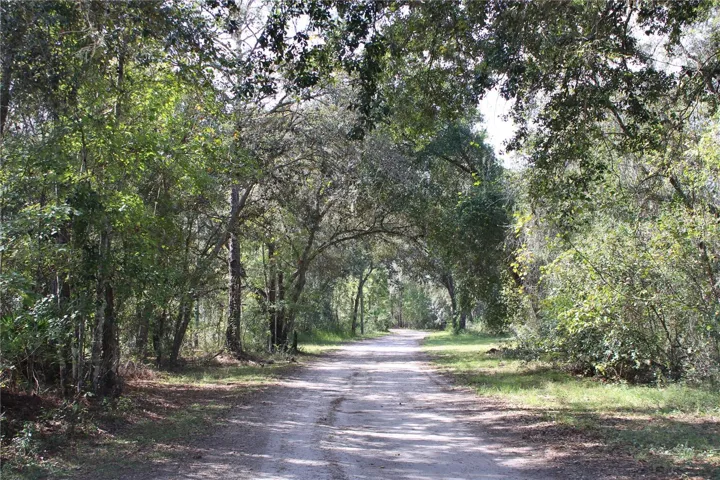 Beautiful entrance down Duboise Dr.