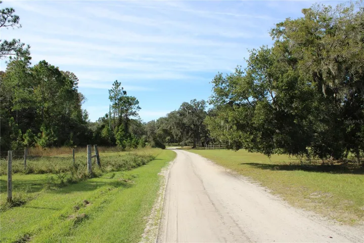 Start of the Property Line. Look for the sign and oak tree on the right