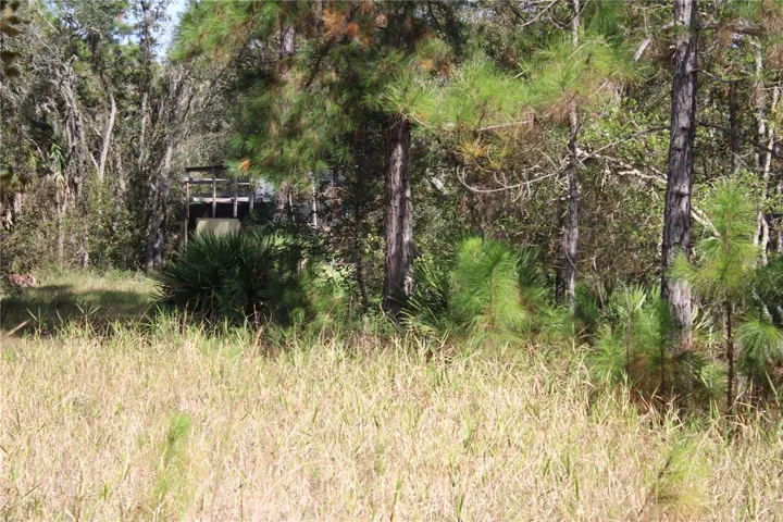 Hunting Stand and Metal Shed with Mower