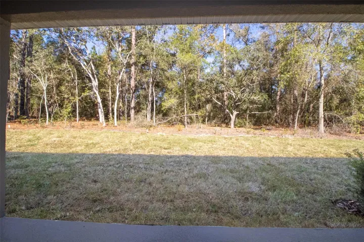 View from patio