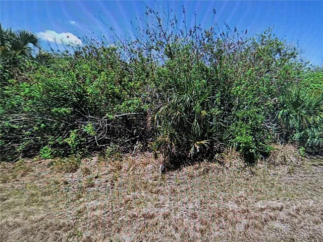 Vacant Lot