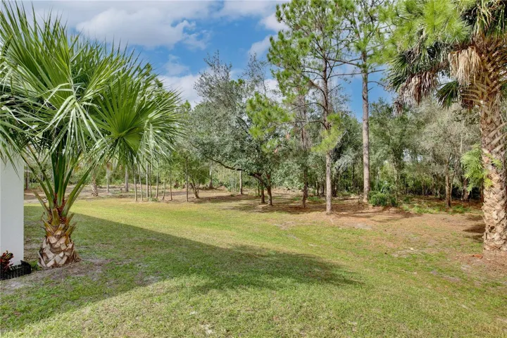 Back/Side Yard