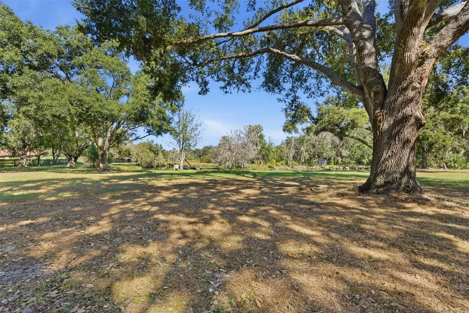 2506 Hawk Griffin Rd, Plant City, Florida 33565 — photo 41