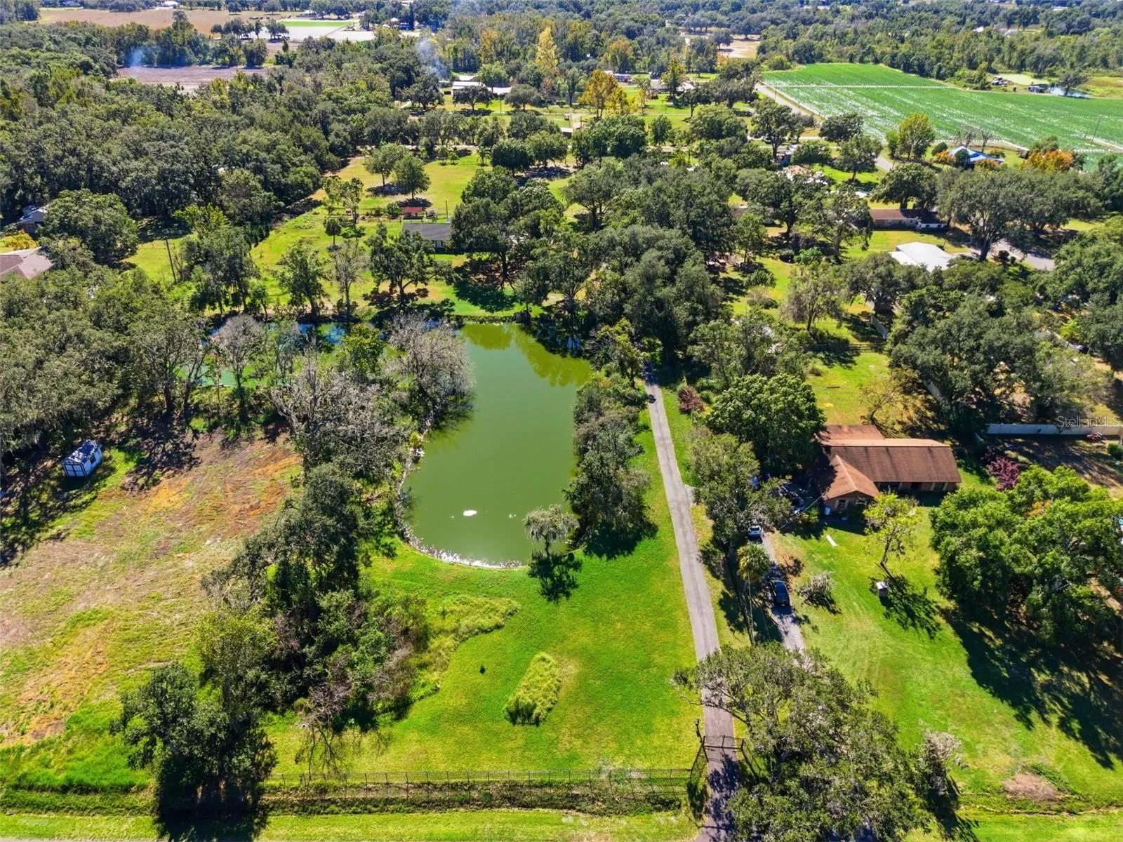 2506 Hawk Griffin Rd, Plant City, Florida 33565 — photo 9