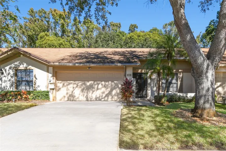 Welcome to The Clusters at Carrollwood Springs!