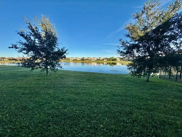 View from the house