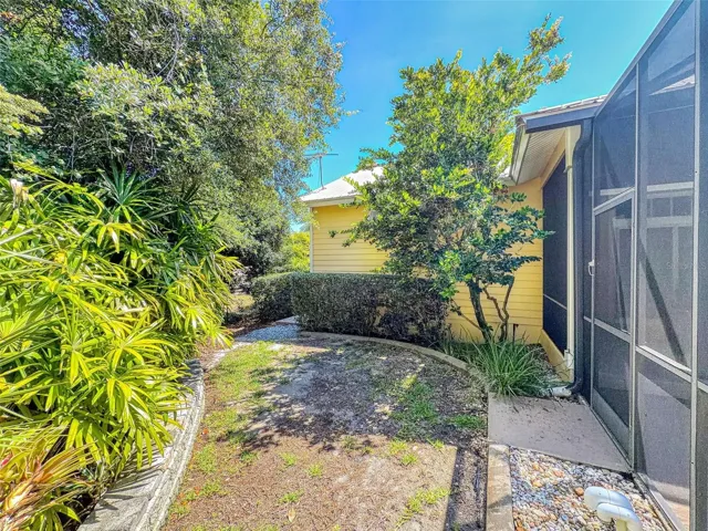 North side yard