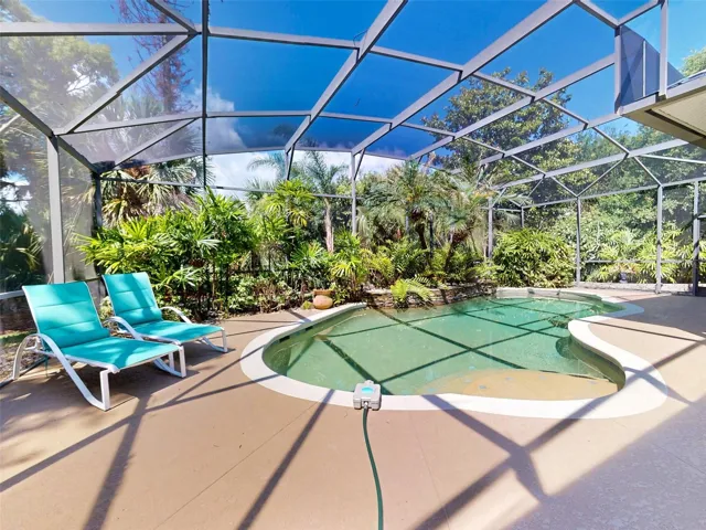 Natural setting pool