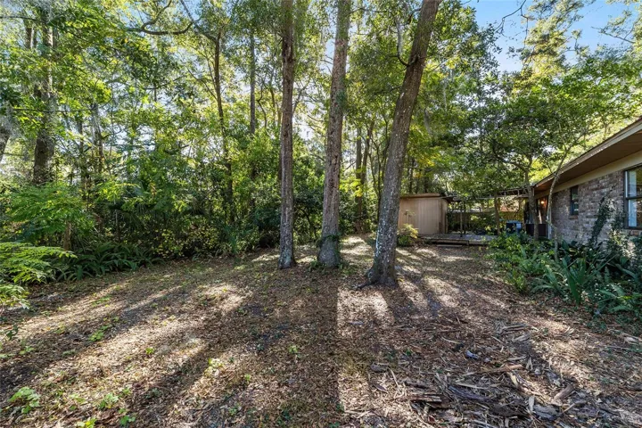 large backyard