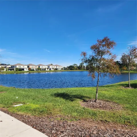 Plentiful green spaces to enjoy.