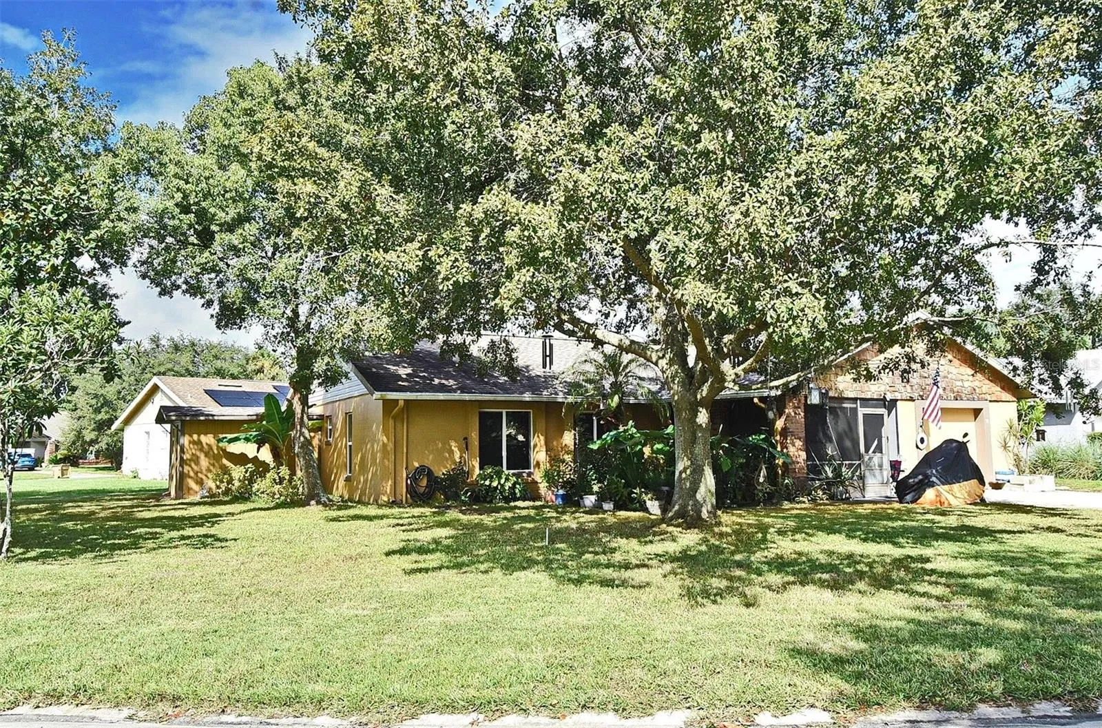 31 Chip Ct. featuring a spacious yard and mature trees.