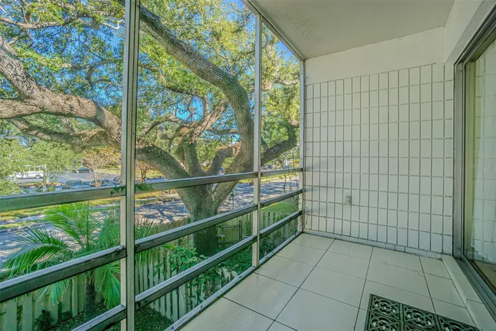 Screened porch view of trees.
