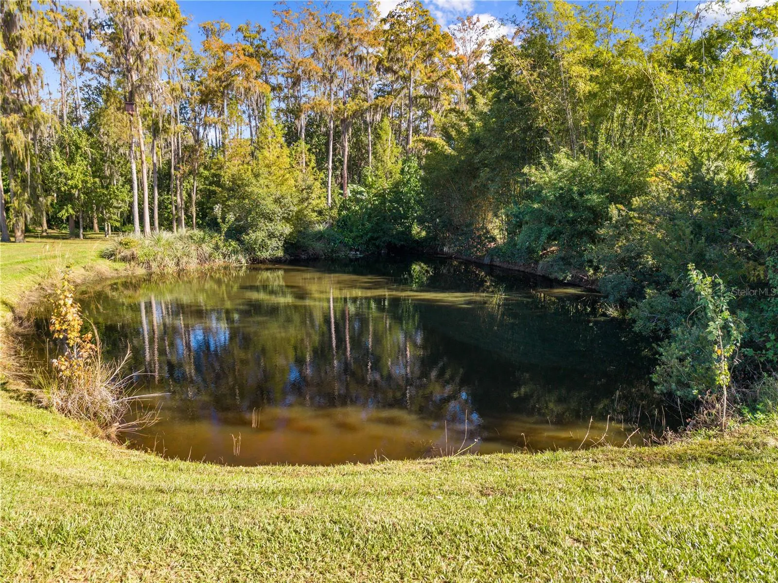 Stocked Pond behind main home