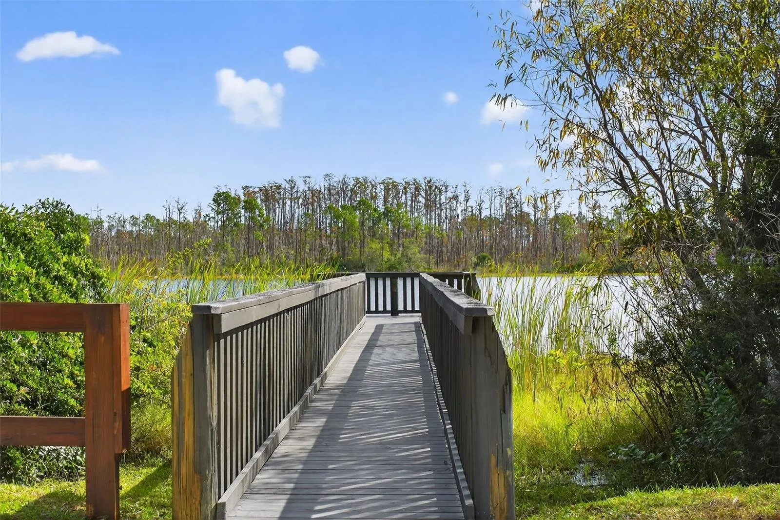 Lakeview Path