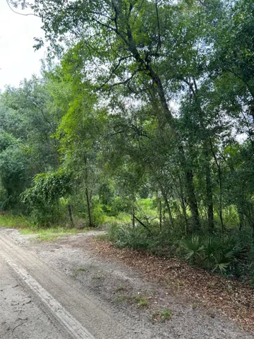 From Road