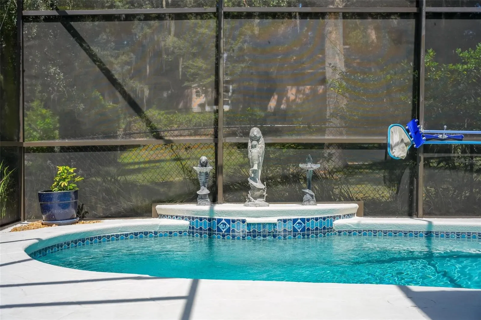 Pool with Birdcage