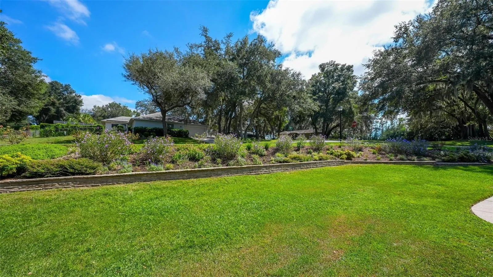 Front yard