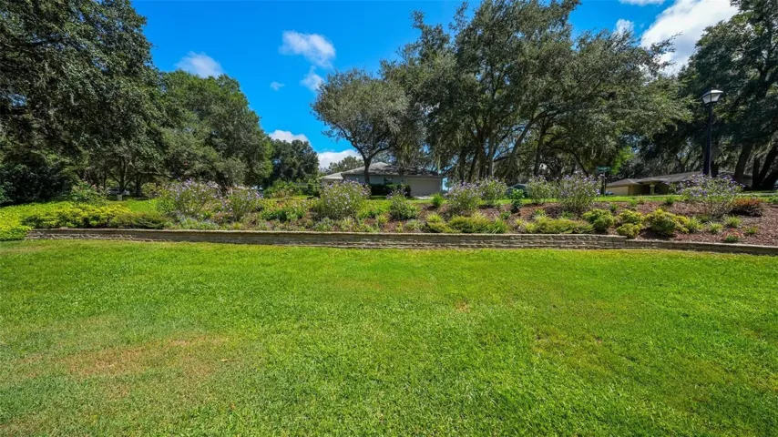 Front yard