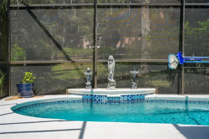 Pool with Birdcage