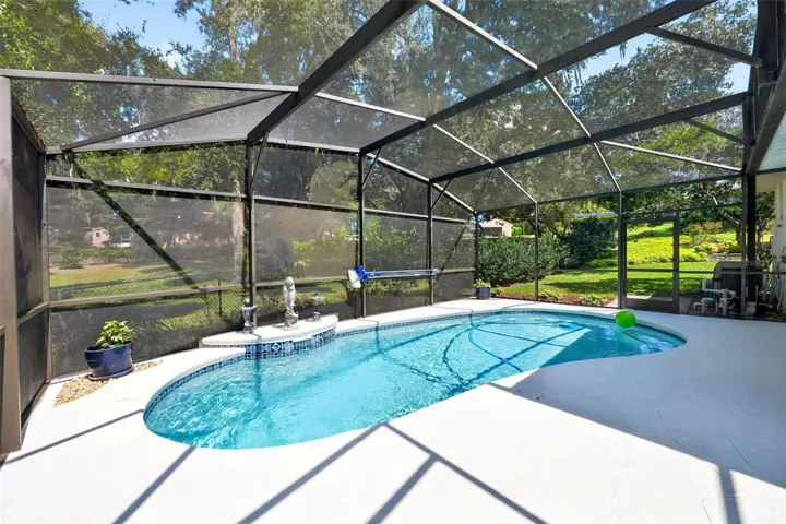 Pool with Birdcage