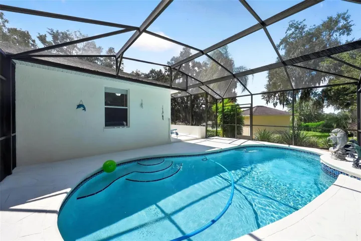 Pool with Birdcage