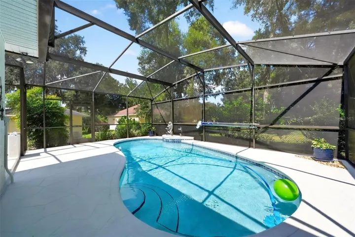 Pool with Birdcage