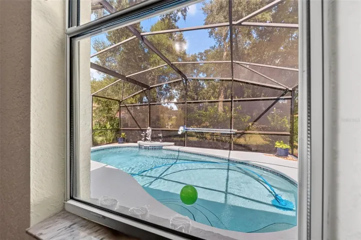 Pool with Birdcage