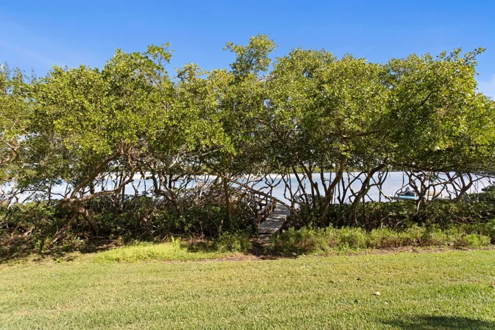 Large backyard