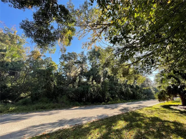 Beautiful wooded lot
