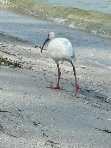 1170