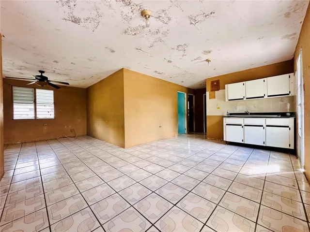 Dinning & kitchen