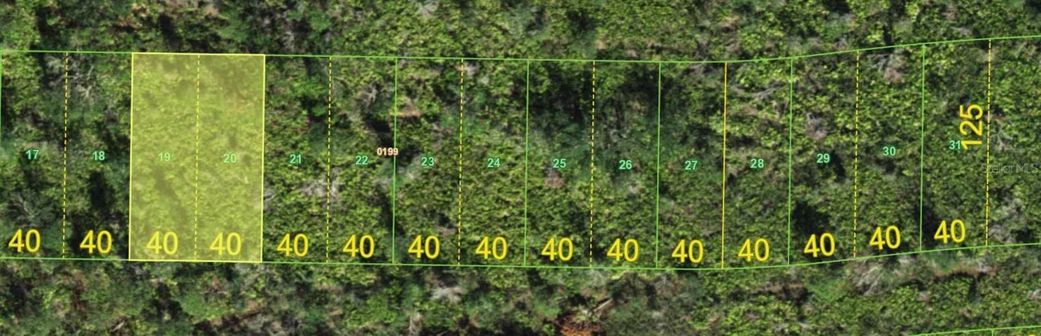 Lot dimensions are 80x125