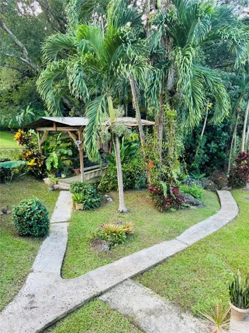 veredas y hermosos veredas  y aceras en cementos con hermosos jardines