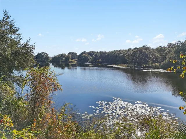 Lake View from drone