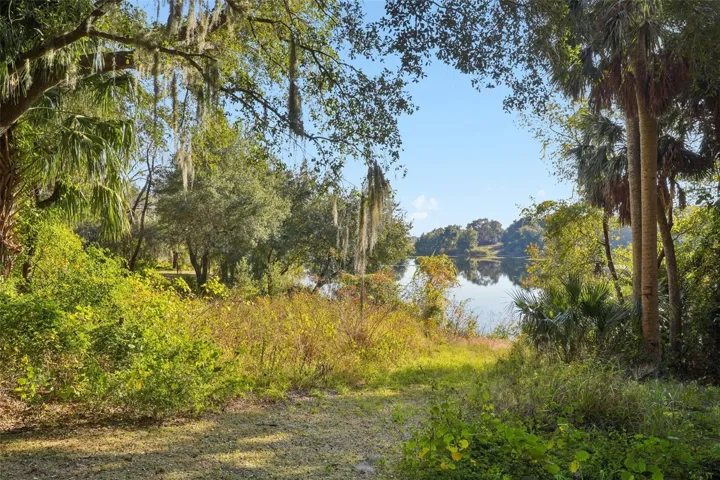 Walk to the lake