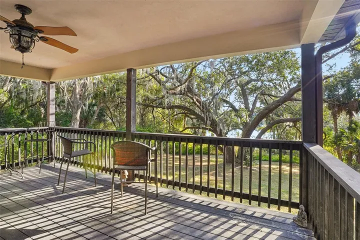 View from Deck