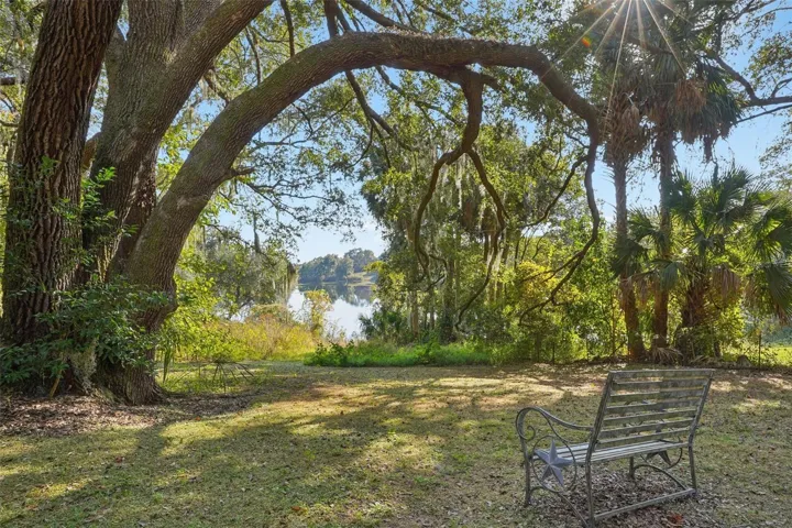 Park like back yard