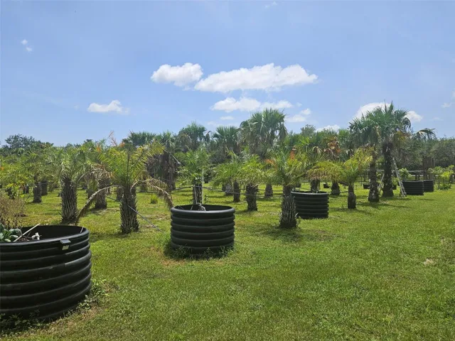 Individual watering and pots for specialized palms.