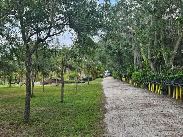 Trees line both sides of the road around the property.