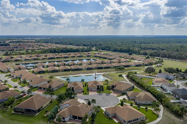 Drone view of neighborhood
