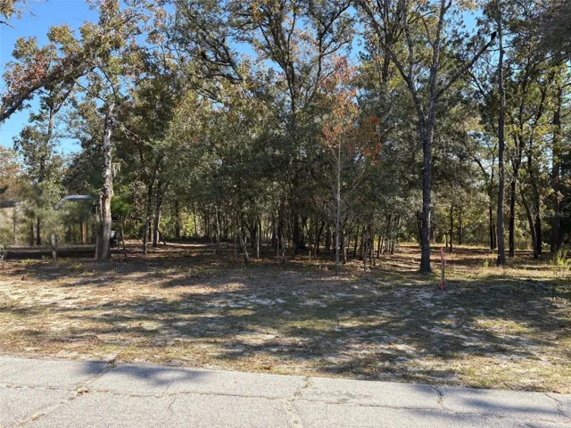 Front of Lot